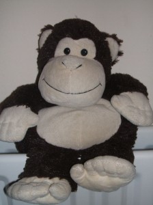 Fred the Monkey